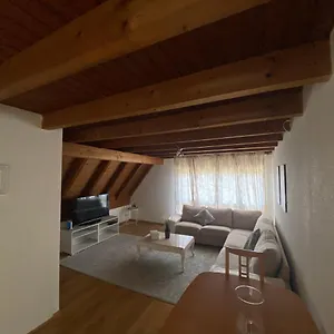 Get Cozy Family Flat , Zurich Switzerland